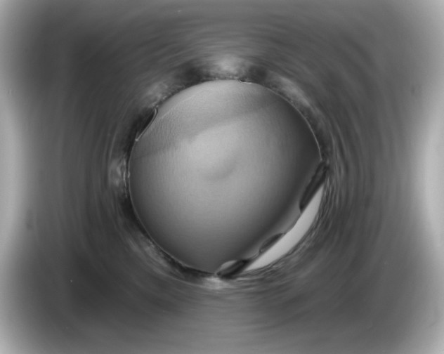 X0000086020425200704091117