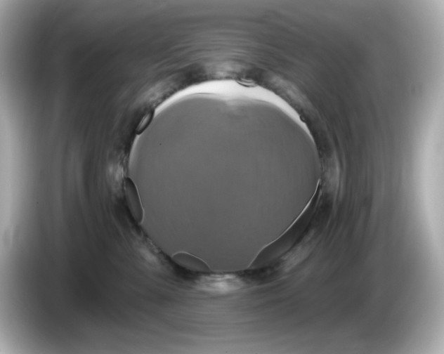 X0000086020427200704091117