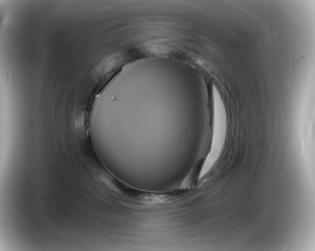 X0000086020428200704091117
