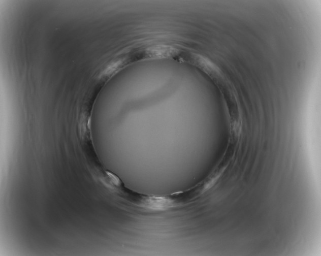 X0000086020429200704091117