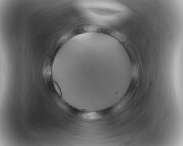 X0000086020431200704091117