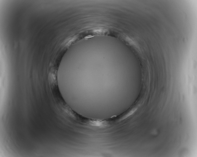 X0000086020432200704091117
