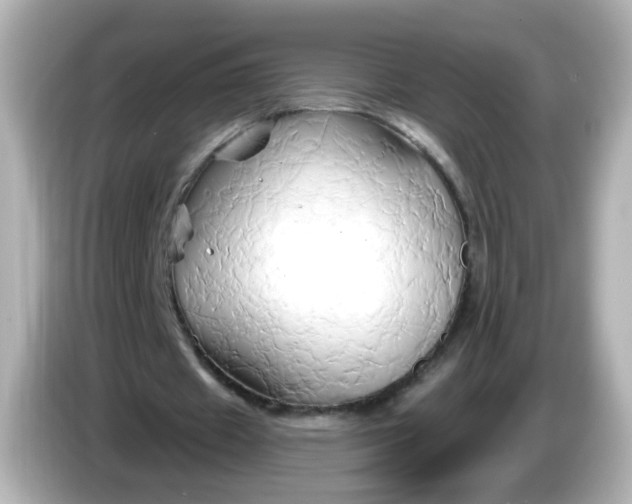 X0000086020433200704091116