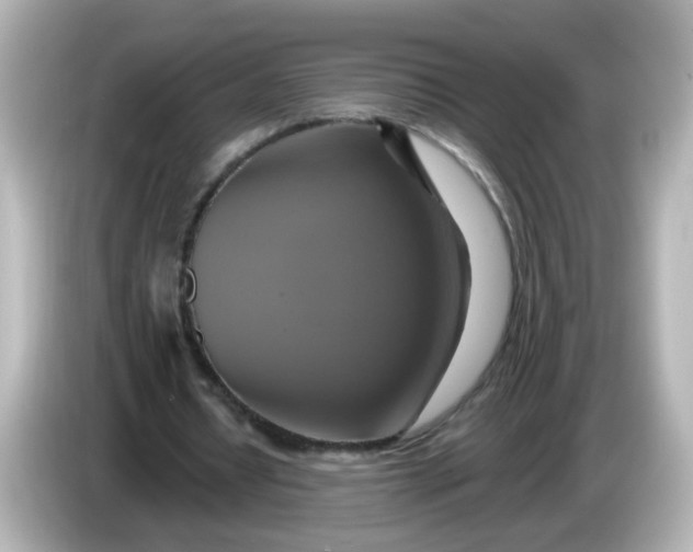 X0000086020434200704091116