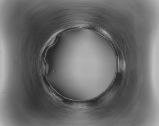 X0000086020435200704091116