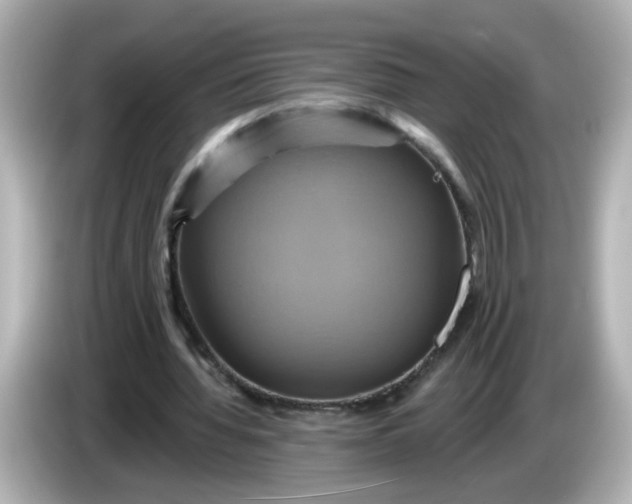 X0000086020436200704091116