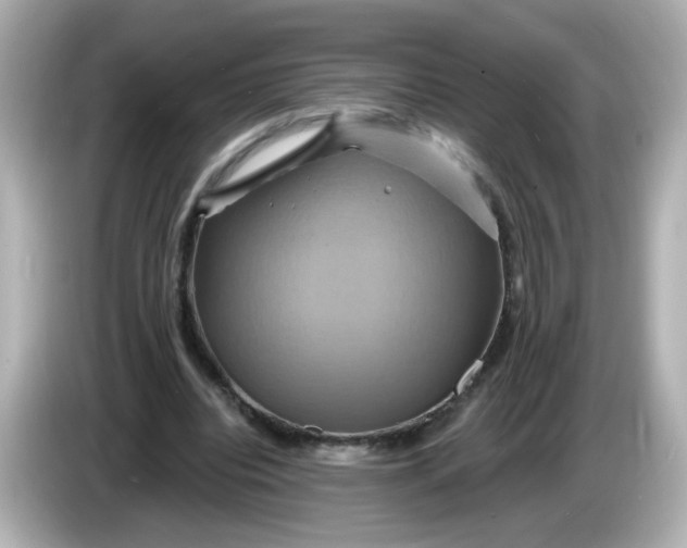 X0000086020440200704091116
