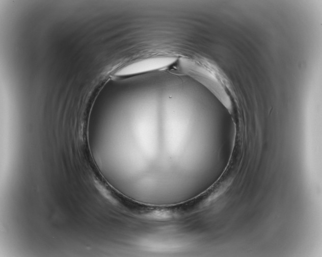 X0000086020441200704091116