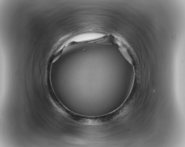 X0000086020442200704091116