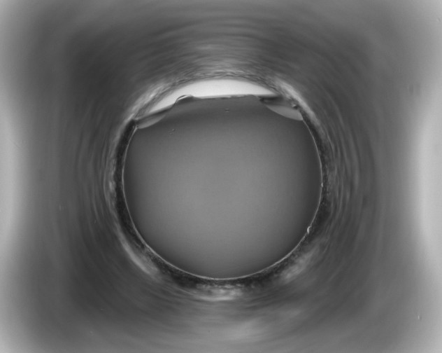X0000086020443200704091116