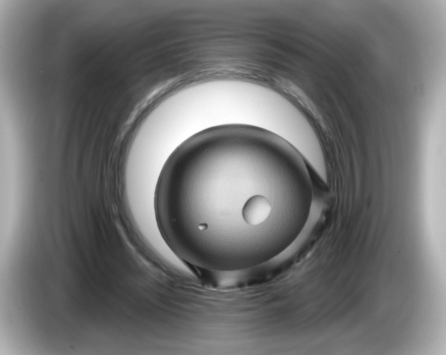 X0000086020444200704091116