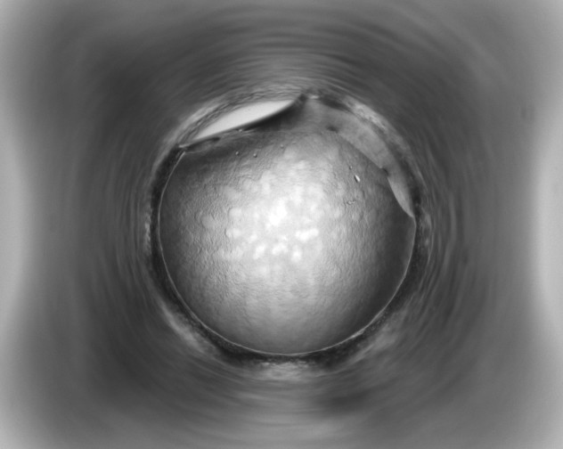 X0000086020446200704091116