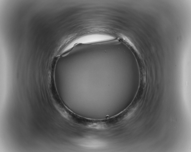 X0000086020447200704091116