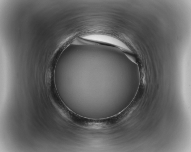 X0000086020448200704091116