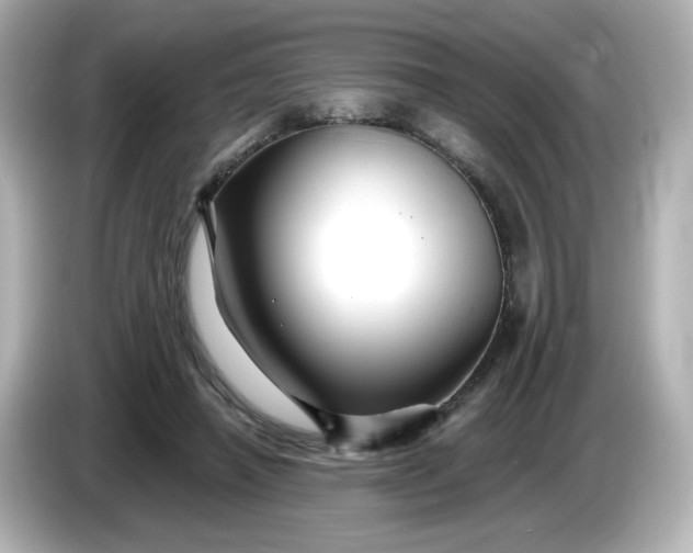 X0000086020450200704091116