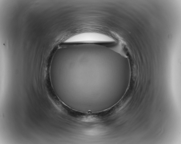 X0000086020451200704091116