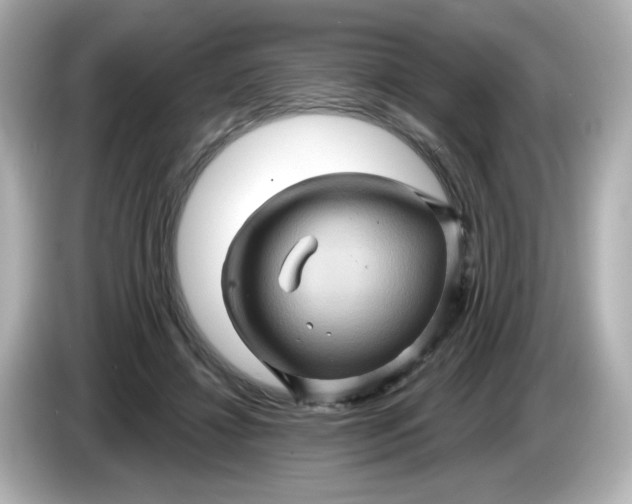 X0000086020452200704091116