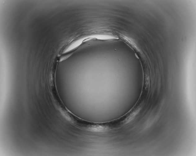X0000086020453200704091117