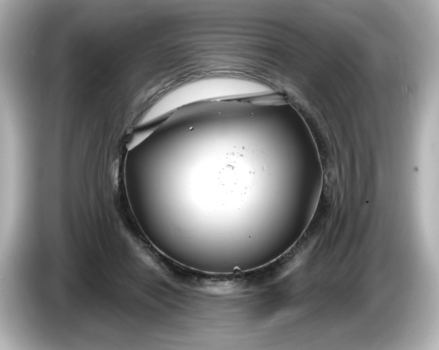 X0000086020454200704091117