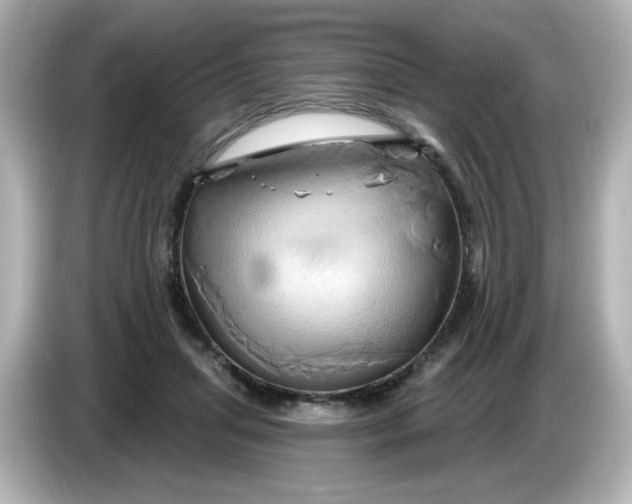 X0000086020455200704091117