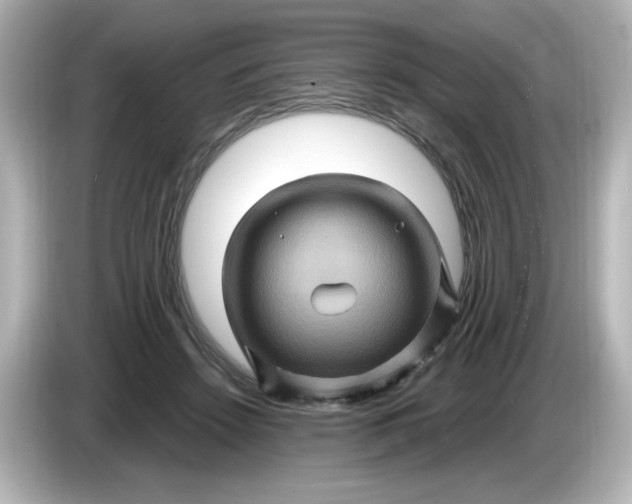 X0000086020456200704091117