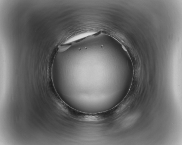X0000086020457200704091117