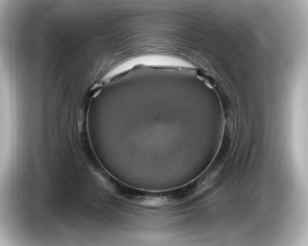 X0000086020458200704091117