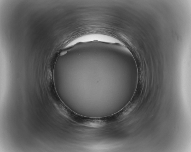 X0000086020459200704091117