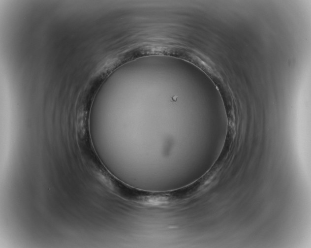 X0000086020462200704091117