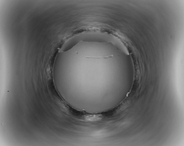 X0000086020465200704091117