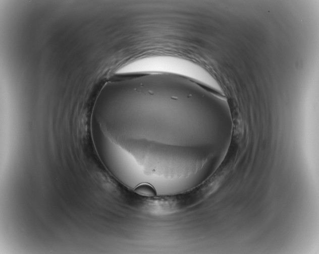 X0000086020466200704091117