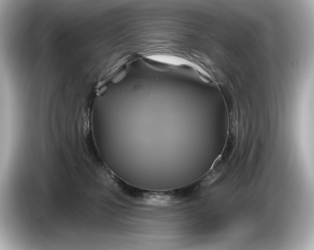 X0000086020471200704091117