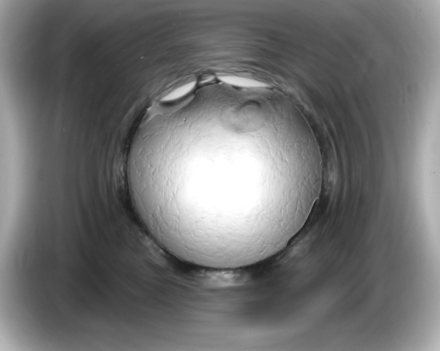 X0000086020473200704091117