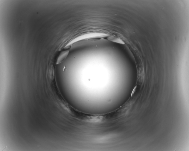 X0000086020474200704091117