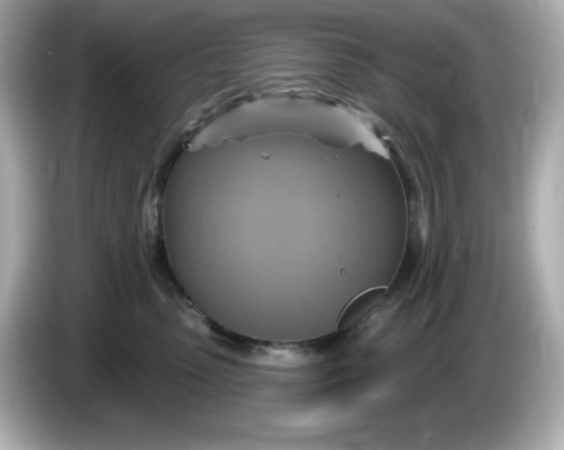 X0000086020475200704091117