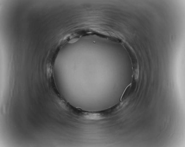 X0000086020476200704091117