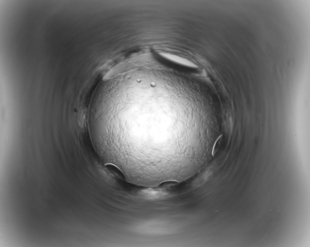 X0000086020477200704091117