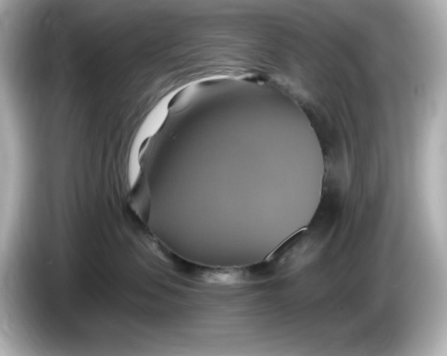 X0000086020479200704091117