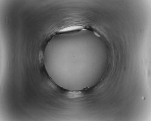 X0000086020480200704091117
