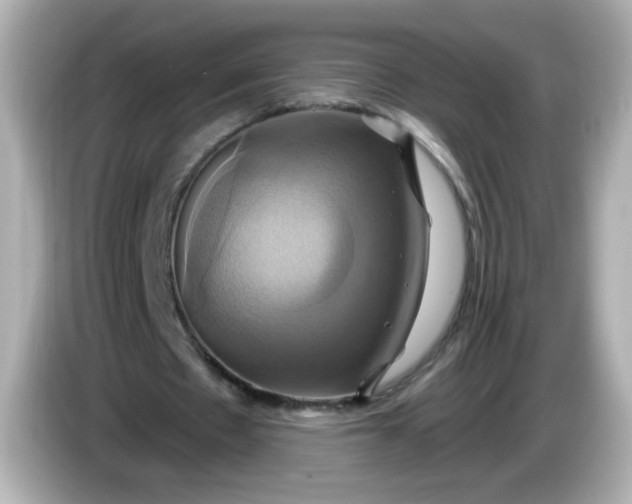 X0000086020481200704091116