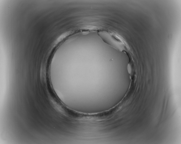 X0000086020482200704091116