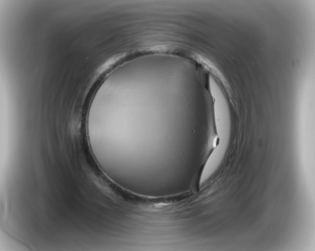 X0000086020483200704091116