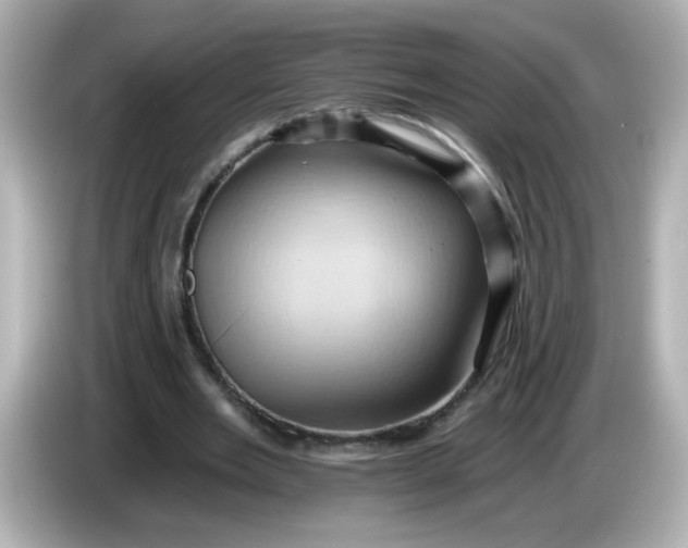 X0000086020485200704091116