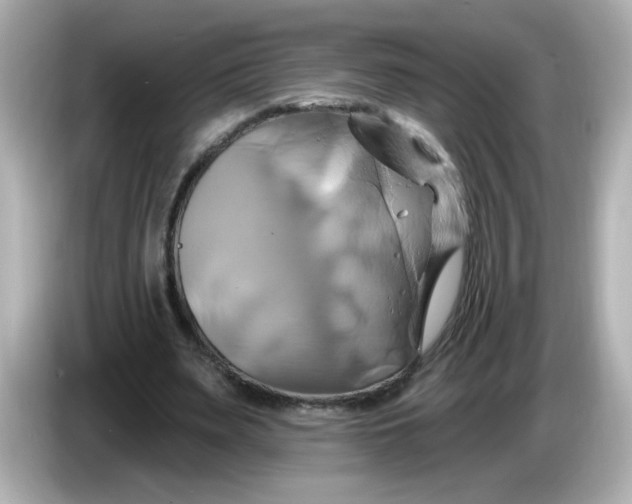 X0000086020487200704091116
