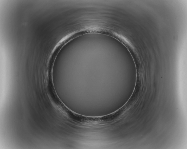X0000086020488200704091116