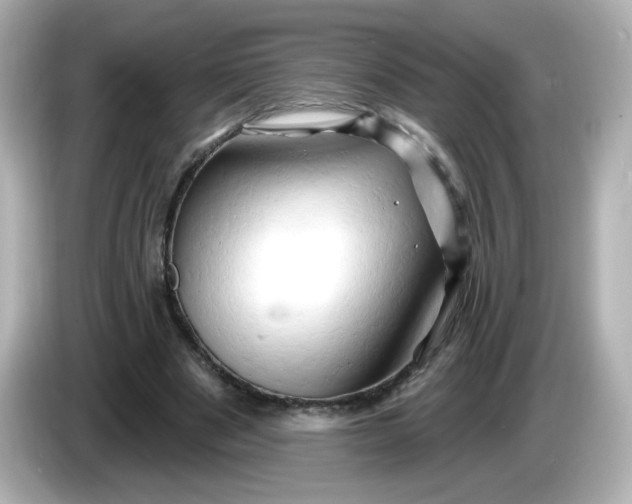 X0000086020489200704091116