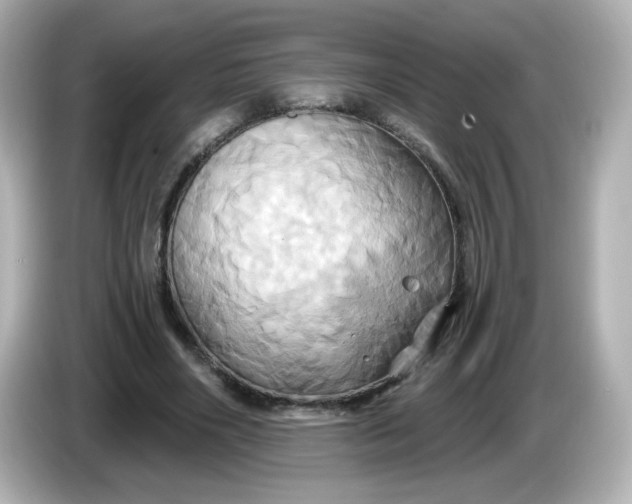 X0000086020490200704091116
