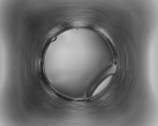 X0000086020491200704091116