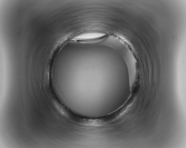 X0000086020493200704091116