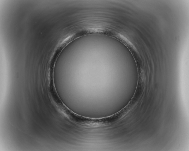 X0000086020494200704091116